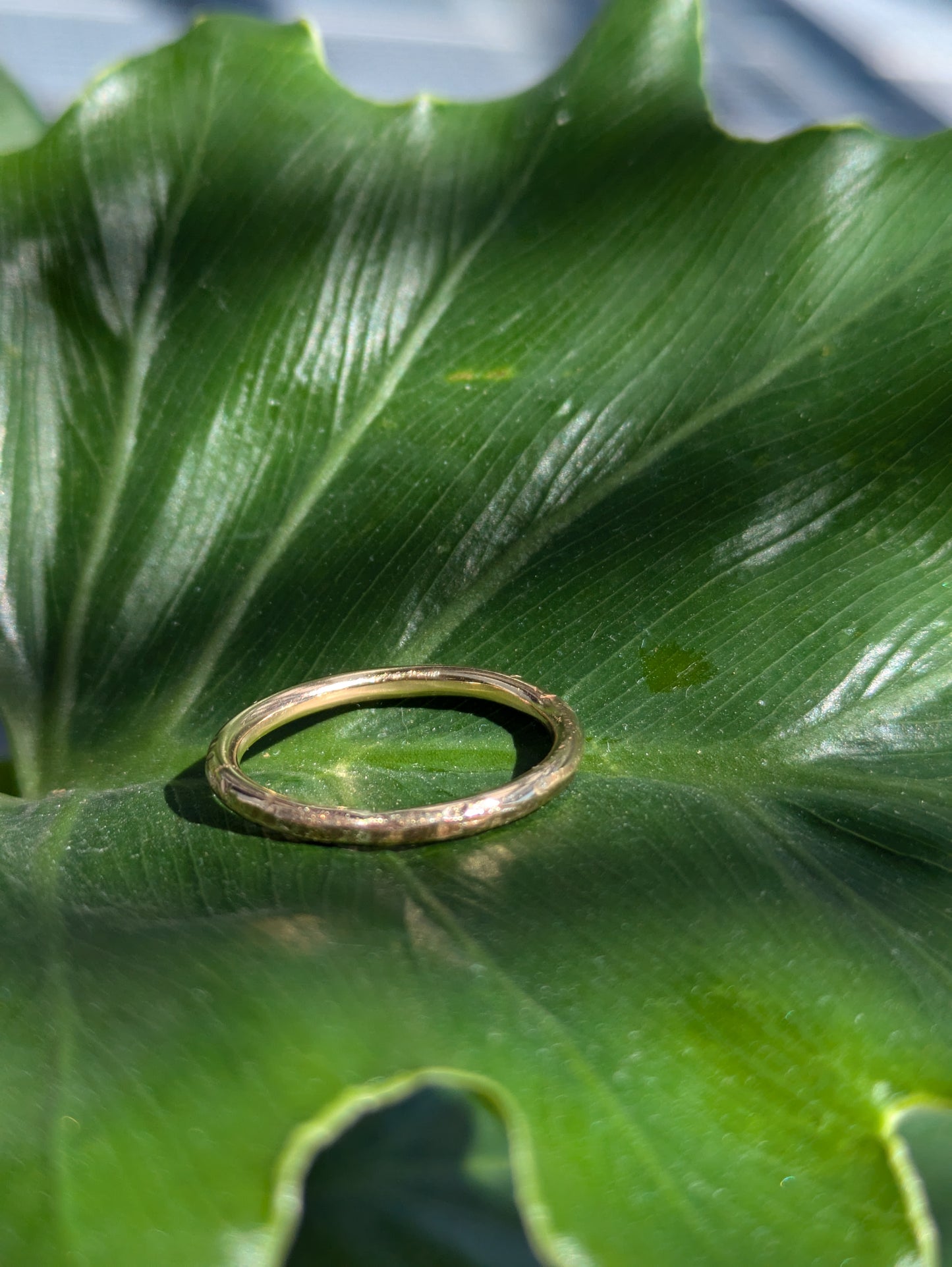 Chunky Gold Textured Ring