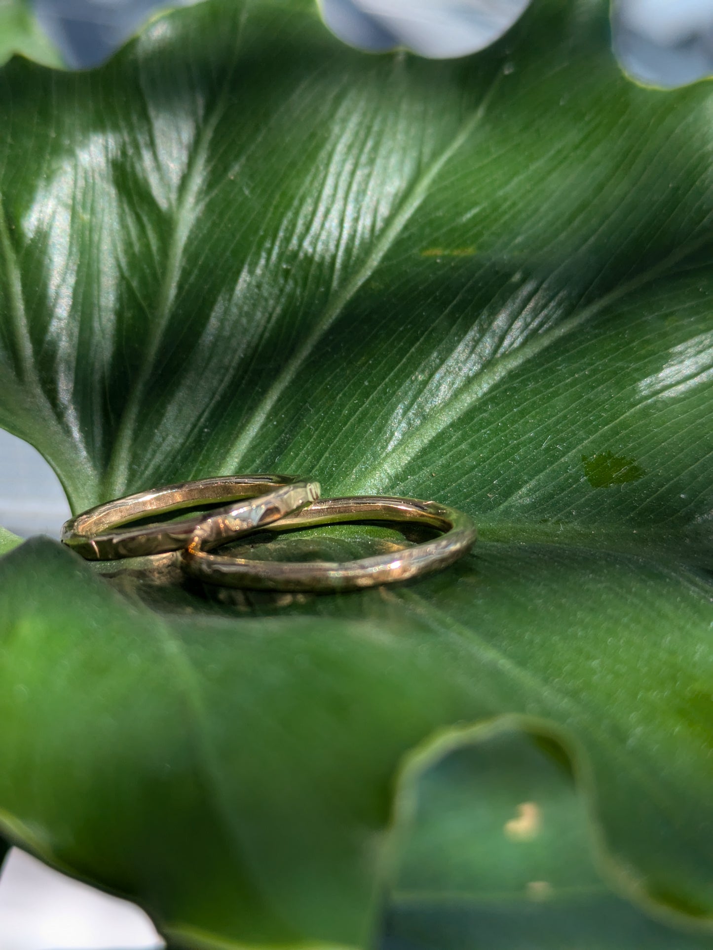 Chunky Gold Textured Ring