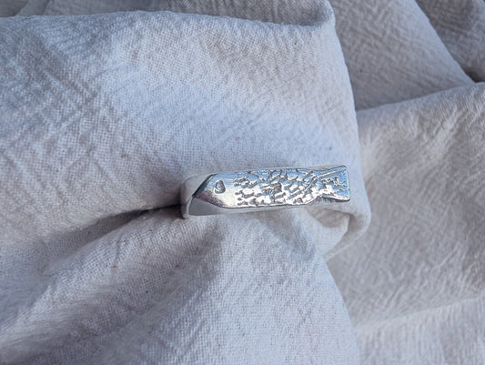 Fish ring 5