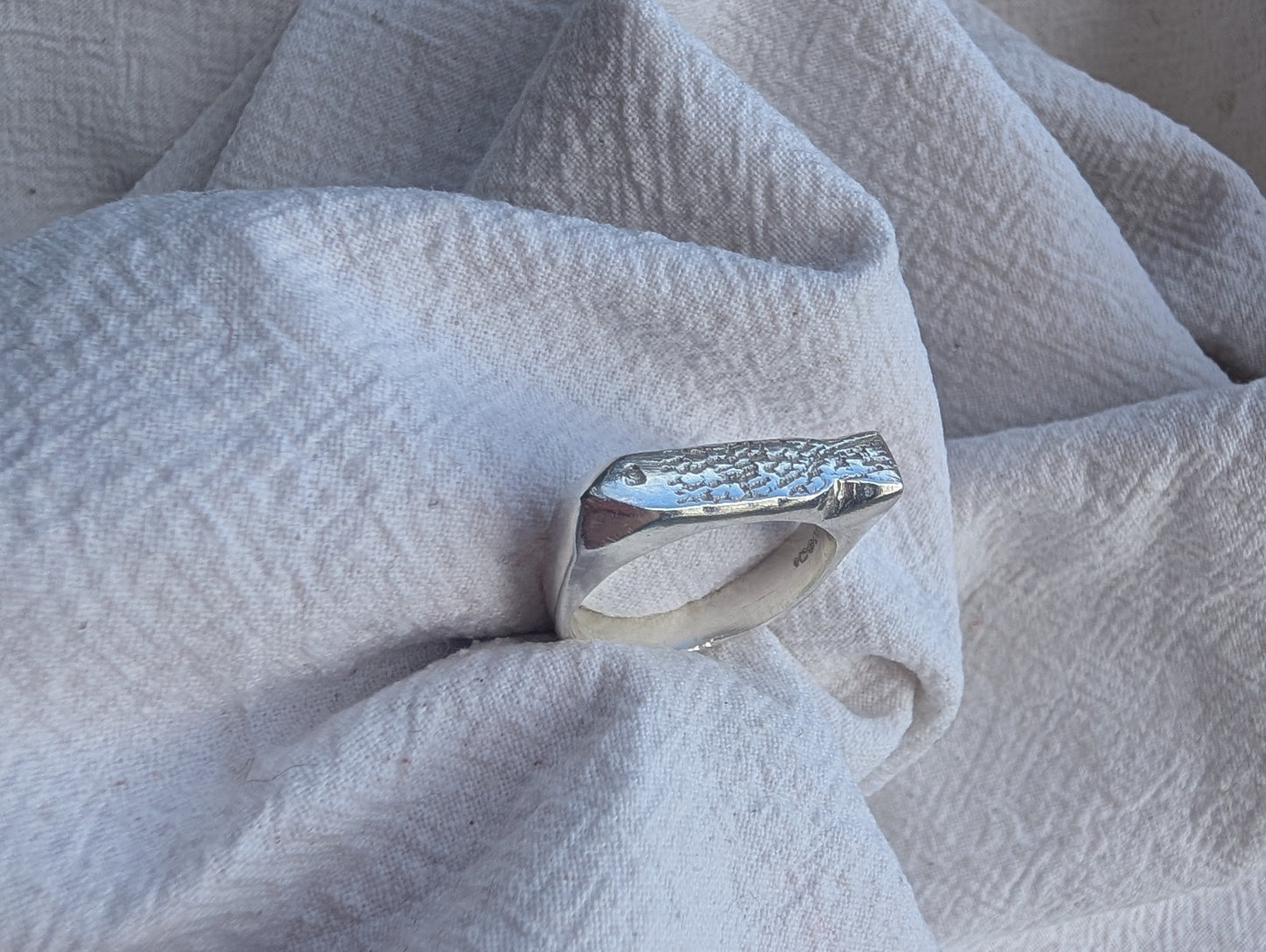 Fish ring 5